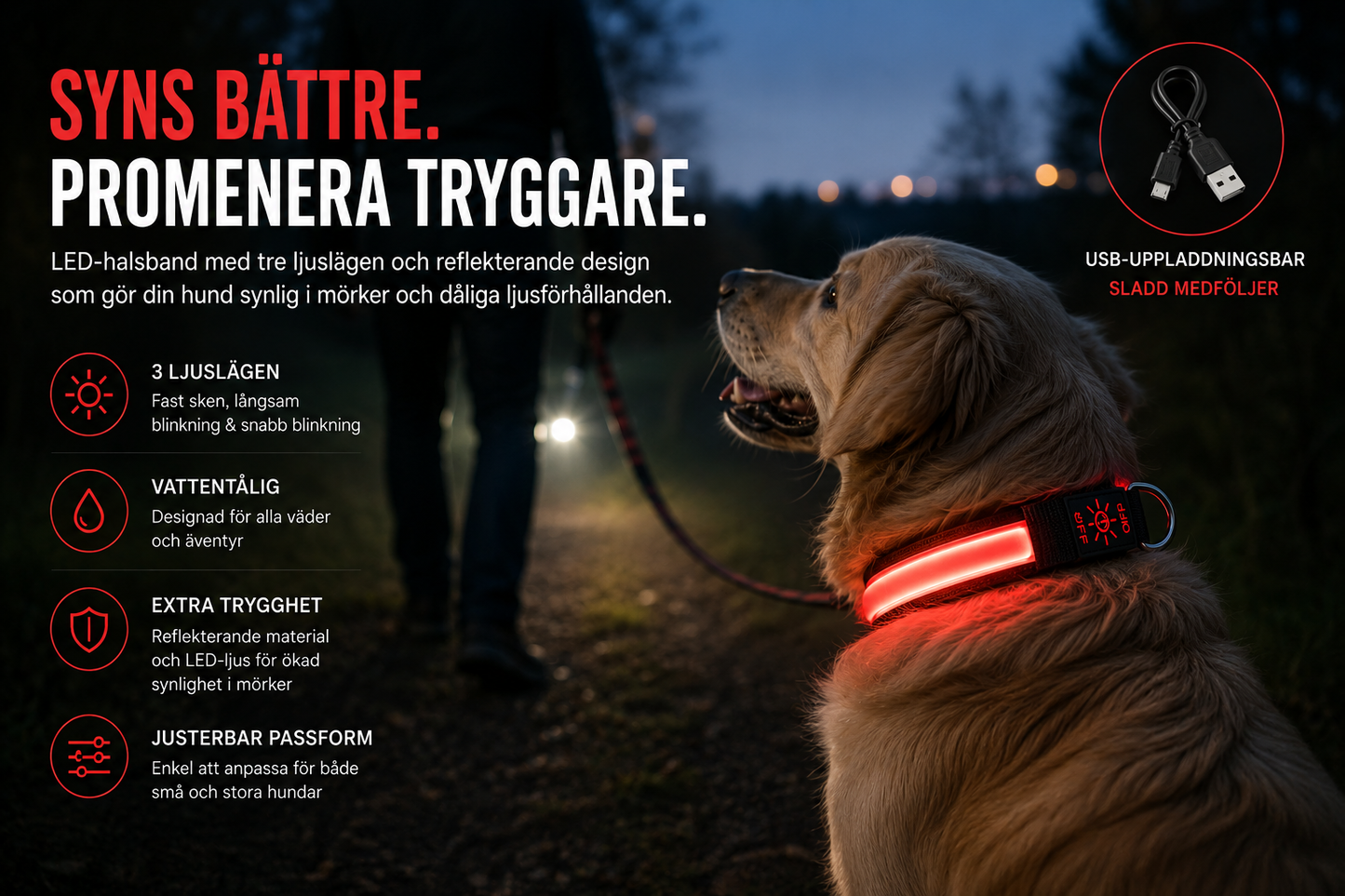 LED Hundhalsband – USB-Uppladdningsbart & Reflekterande