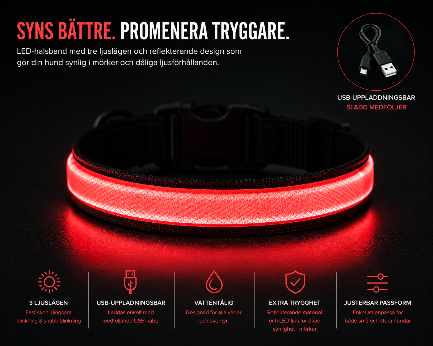LED Hundhalsband – USB-Uppladdningsbart & Reflekterande
