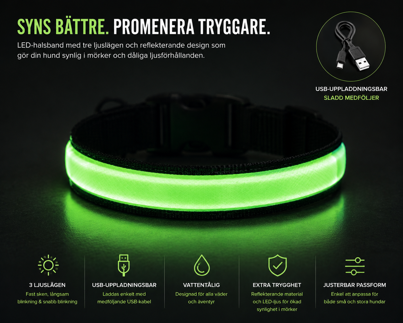 LED Hundhalsband – USB-Uppladdningsbart & Reflekterande